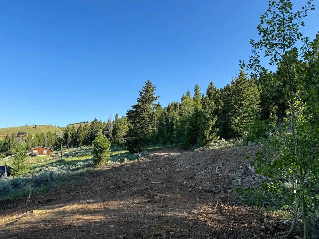 Nhn (1.78+/- Acres) Sunchild Lane Anaconda MT 59711
