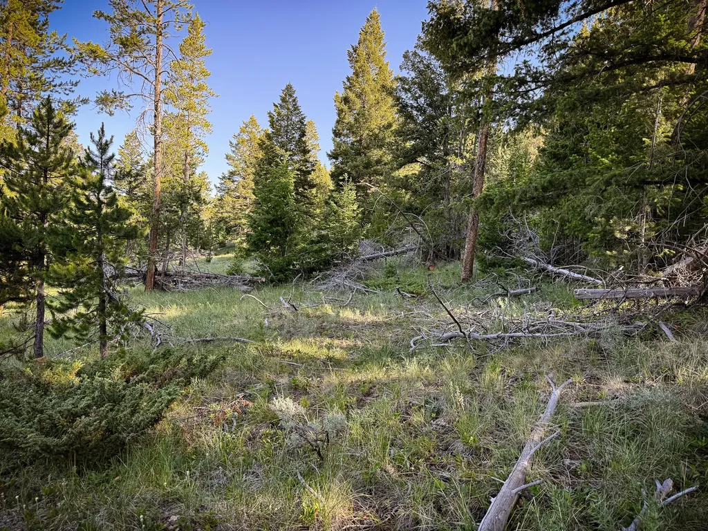 Nhn (1.78+/- Acres) Sunchild Lane Anaconda MT 59711
