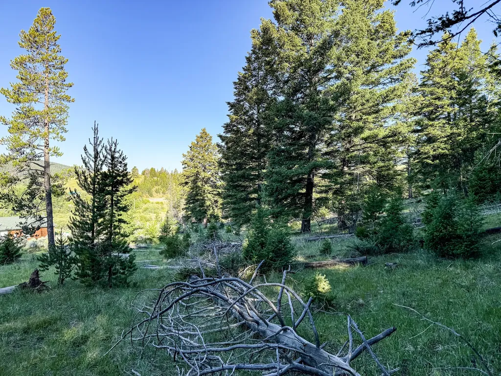 Nhn (1.78+/- Acres) Sunchild Lane Anaconda MT 59711