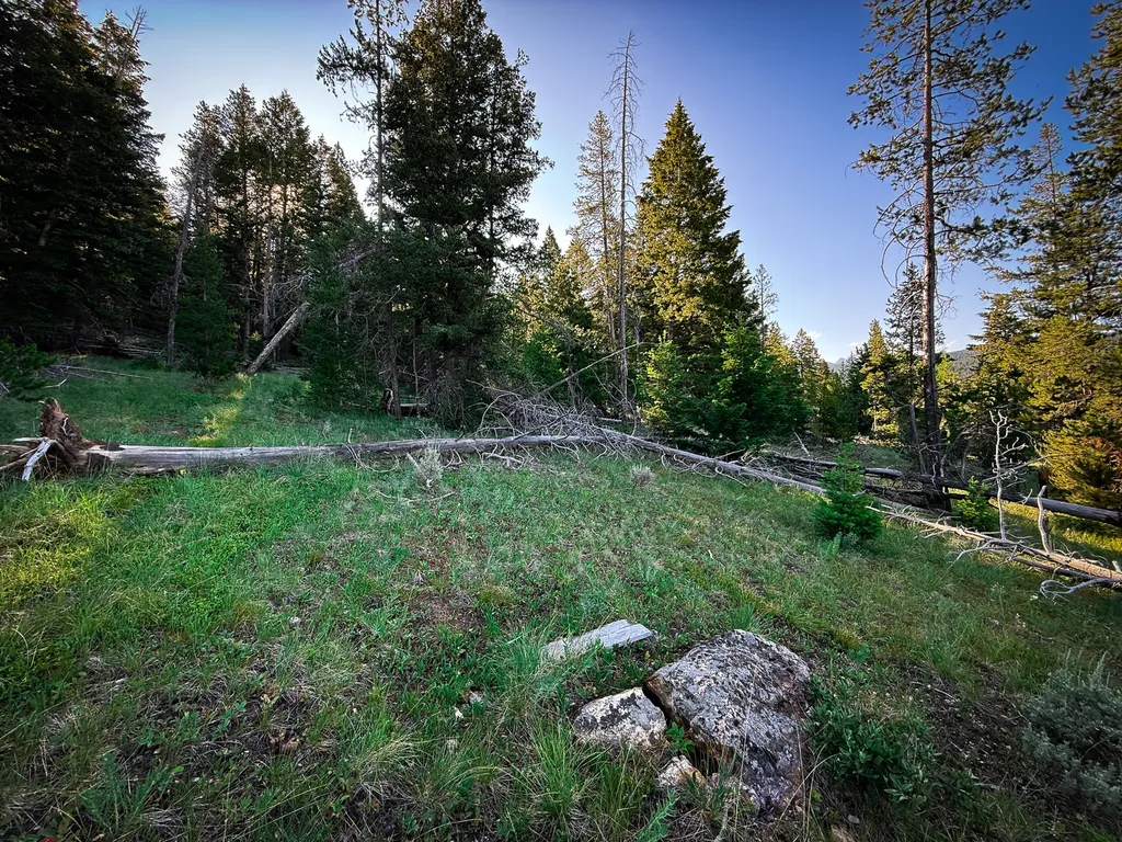 Nhn (1.78+/- Acres) Sunchild Lane Anaconda MT 59711
