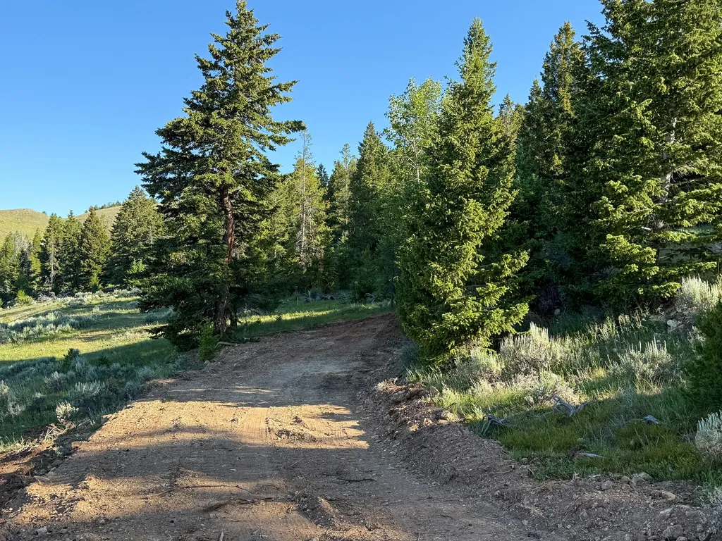 Nhn (1.78+/- Acres) Sunchild Lane Anaconda MT 59711