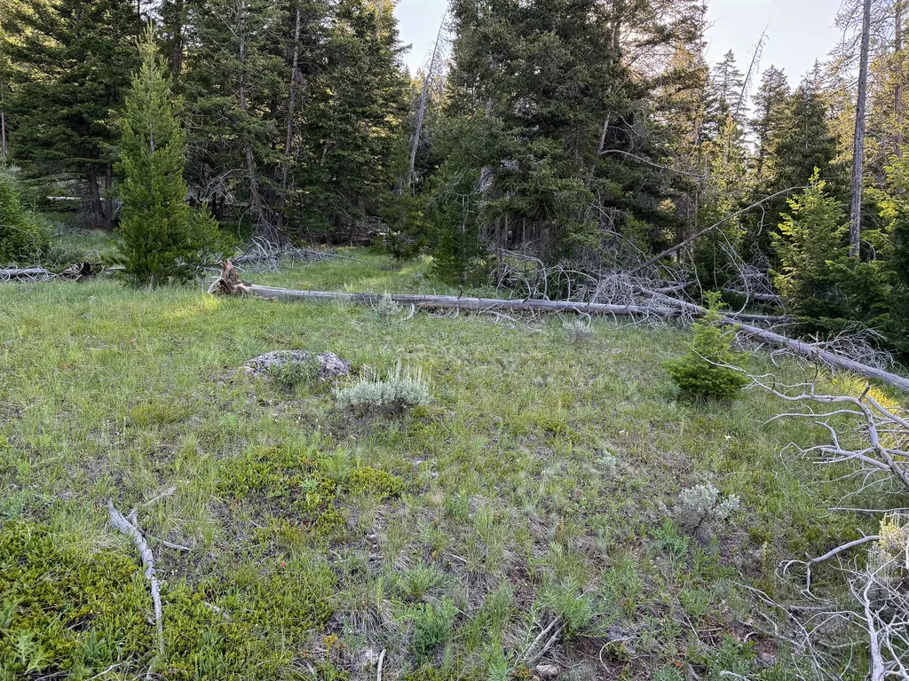 Nhn (1.78+/- Acres) Sunchild Lane Anaconda MT 59711