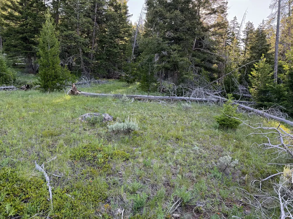 Nhn (1.78+/- Acres) Sunchild Lane Anaconda MT 59711