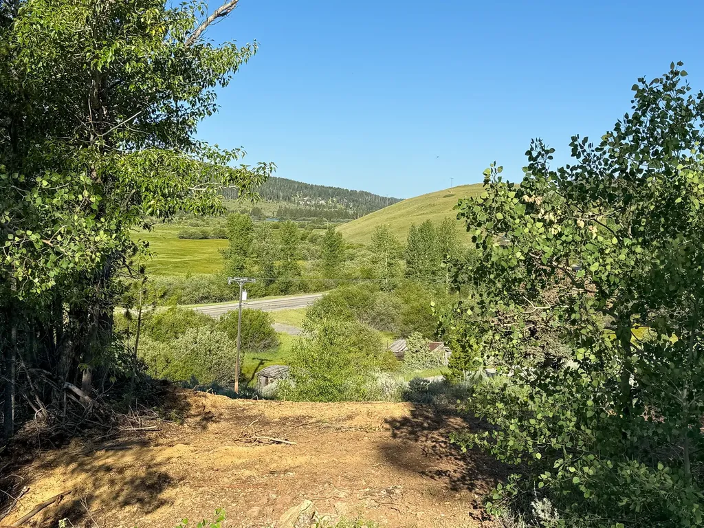 Nhn (1.78+/- Acres) Sunchild Lane Anaconda MT 59711