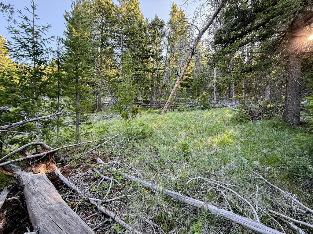 Nhn (1.78+/- Acres) Sunchild Lane Anaconda MT 59711
