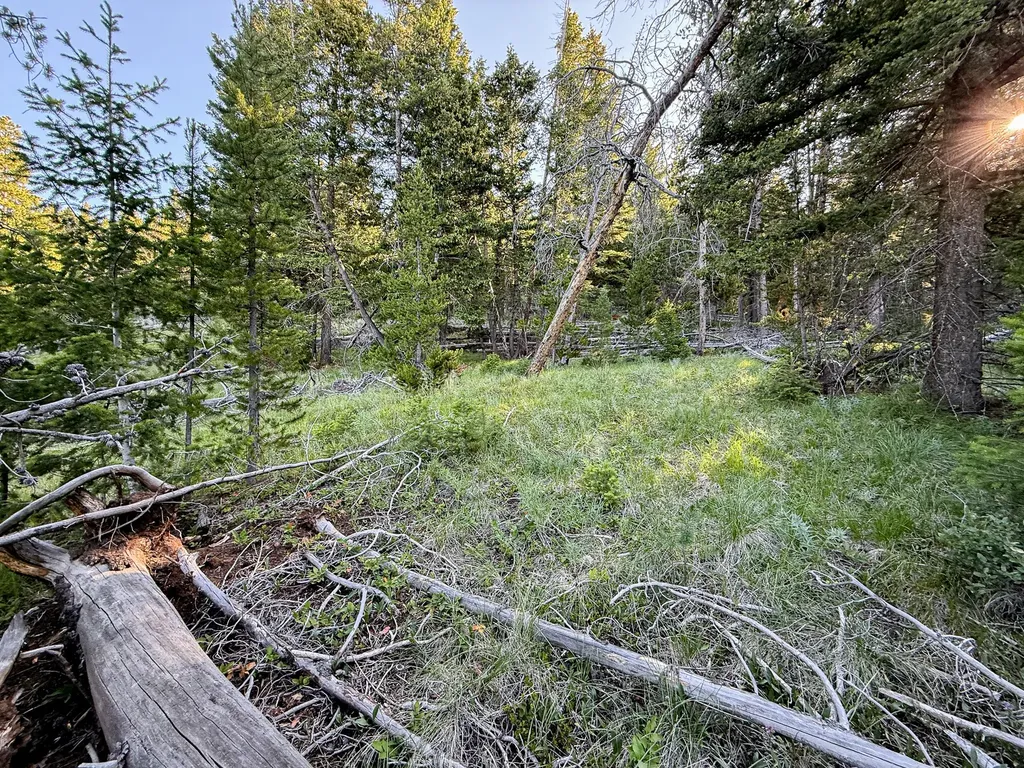 Nhn (1.78+/- Acres) Sunchild Lane Anaconda MT 59711