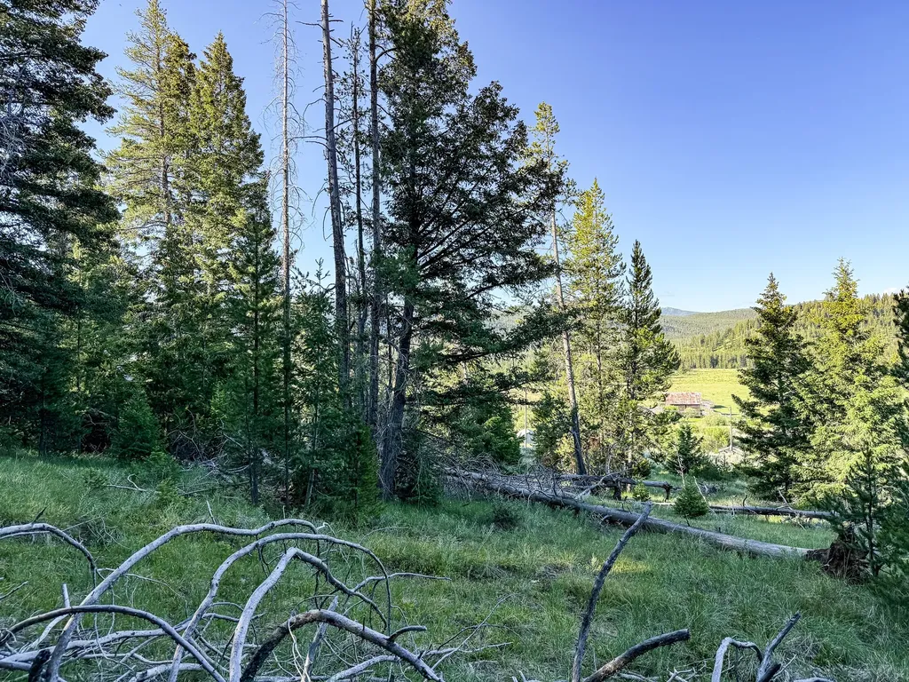 Nhn (1.78+/- Acres) Sunchild Lane Anaconda MT 59711
