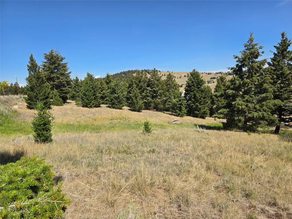 Lot 84 Chalet Loop Butte MT 59701