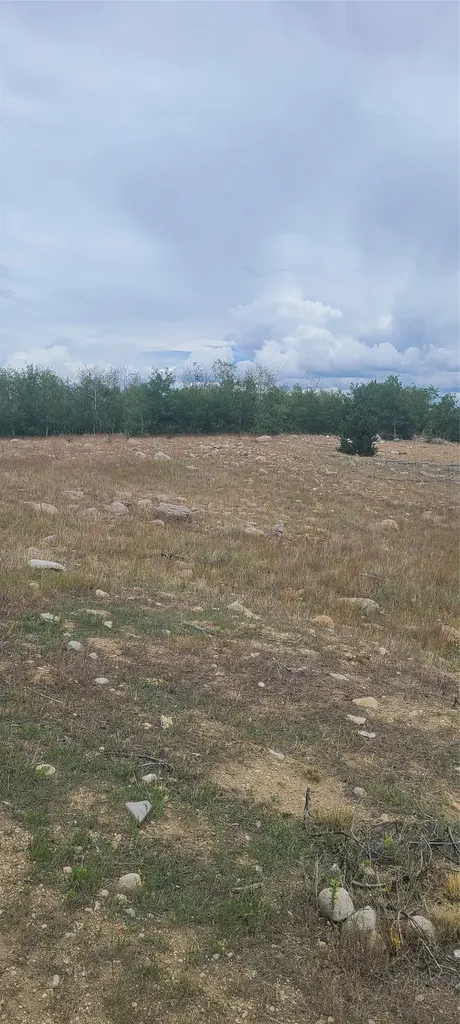 309 Bear Paw Trail Anaconda MT 59711