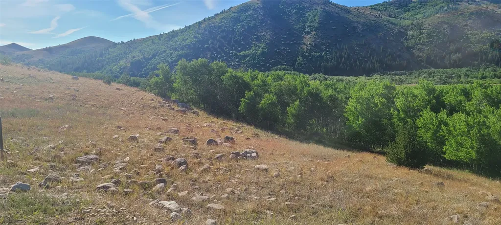 309 Bear Paw Trail Anaconda MT 59711