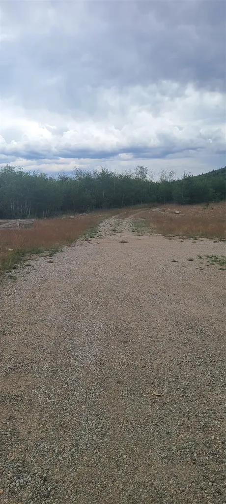 309 Bear Paw Trail Anaconda MT 59711