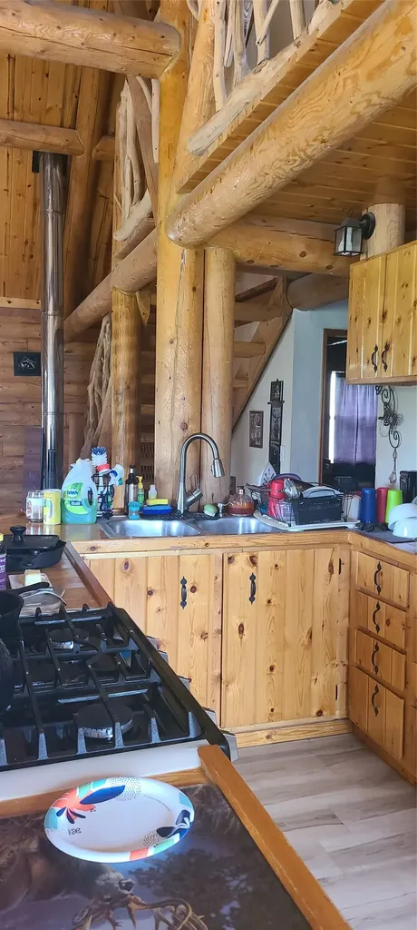 309 Bear Paw Trail Anaconda MT 59711
