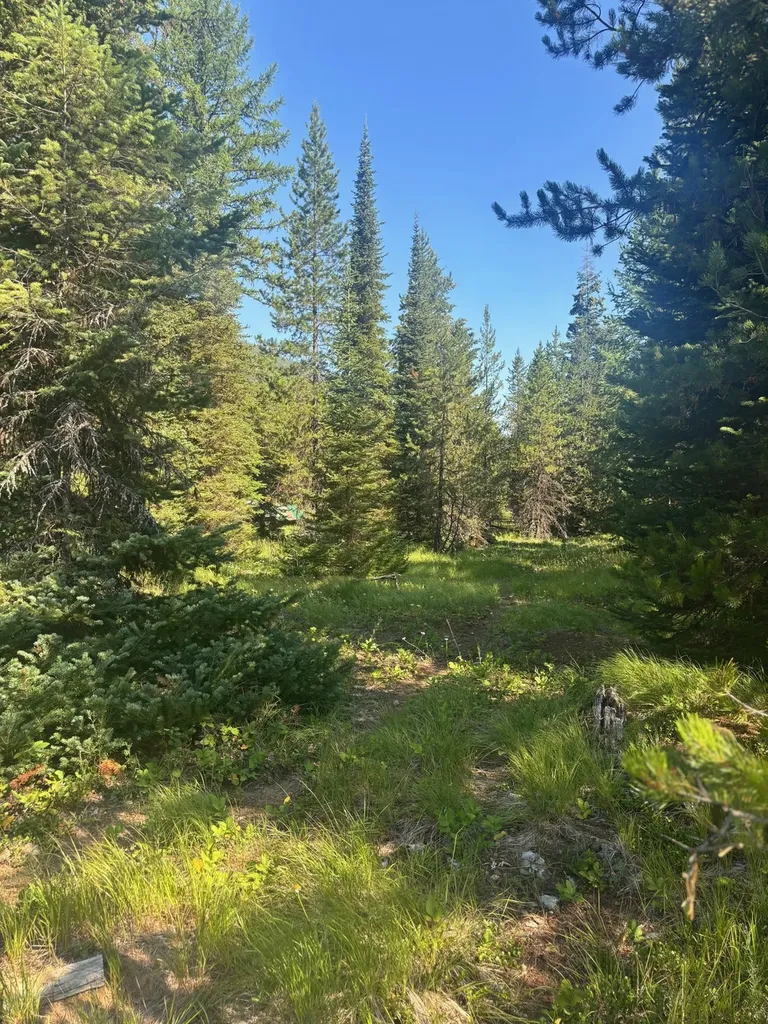 72 Keystone Flats Road Libby MT 59923