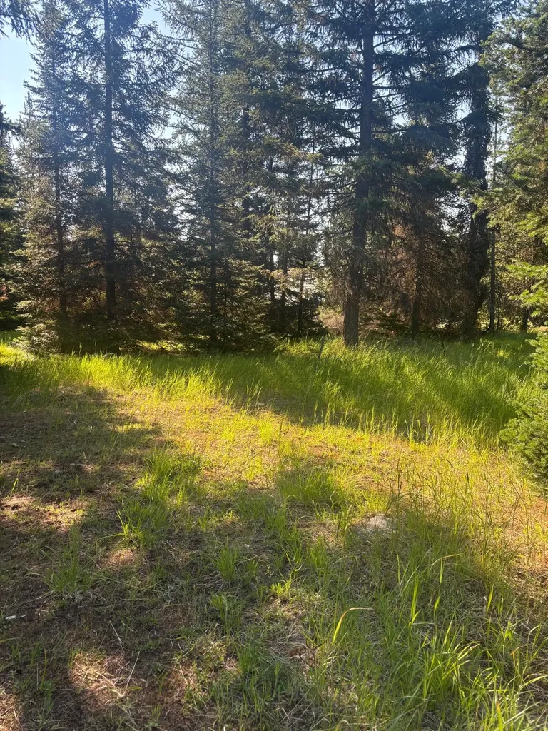 72 Keystone Flats Road Libby MT 59923