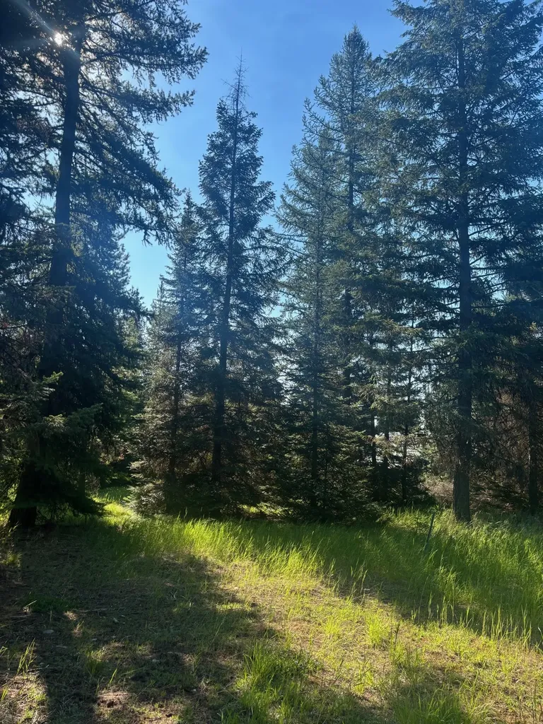 72 Keystone Flats Road Libby MT 59923