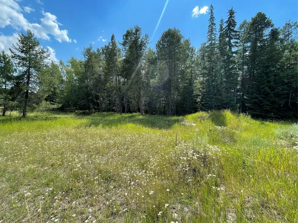 270 Lake Park Lane Whitefish MT 59937