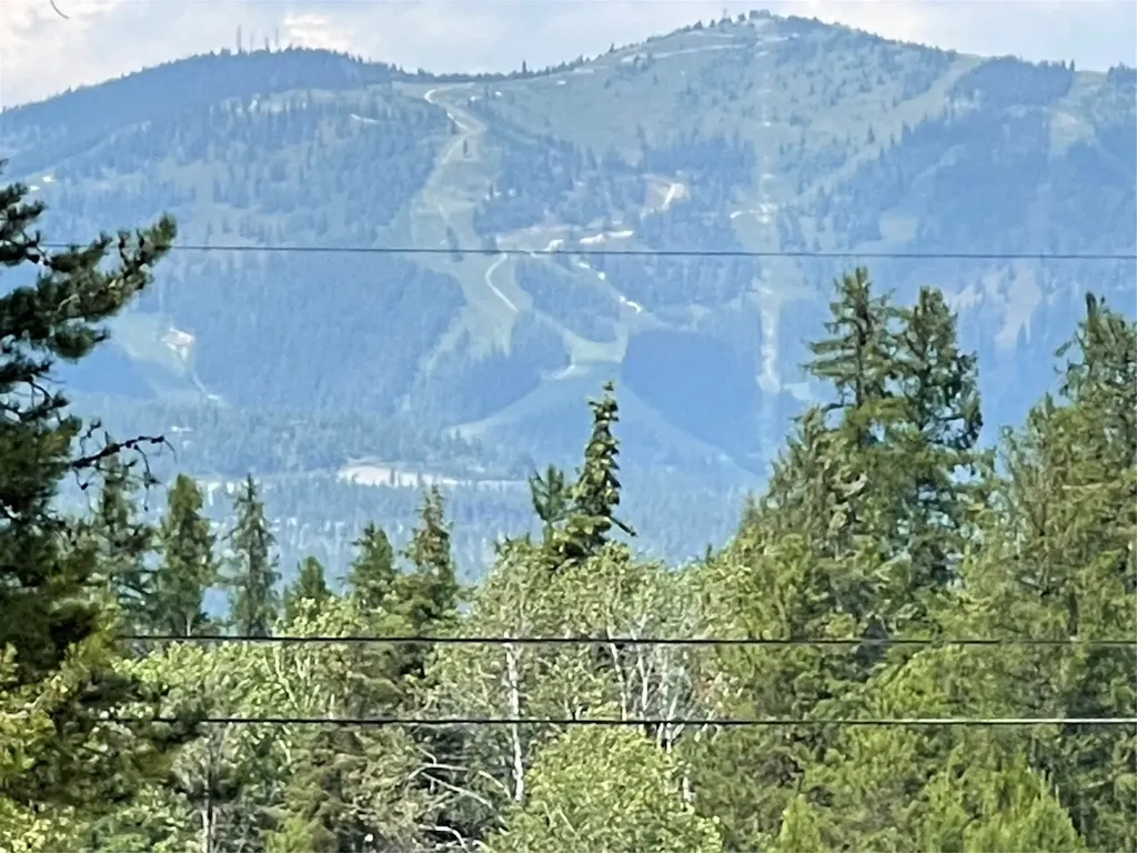 270 Lake Park Lane Whitefish MT 59937