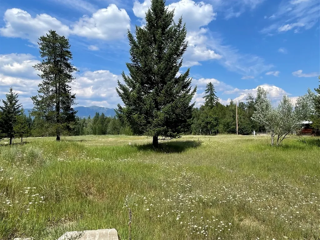 270 Lake Park Lane Whitefish MT 59937