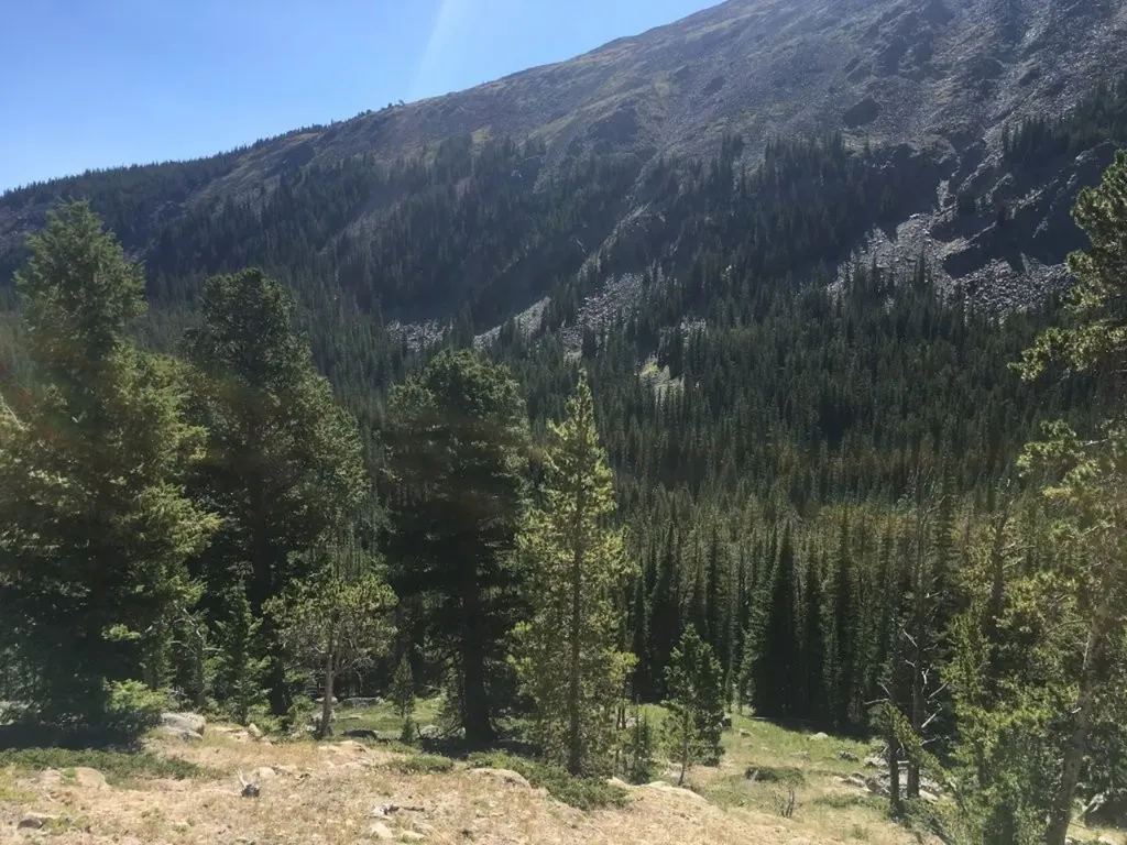 Tbd Trapper Creek Road Melrose MT 59743