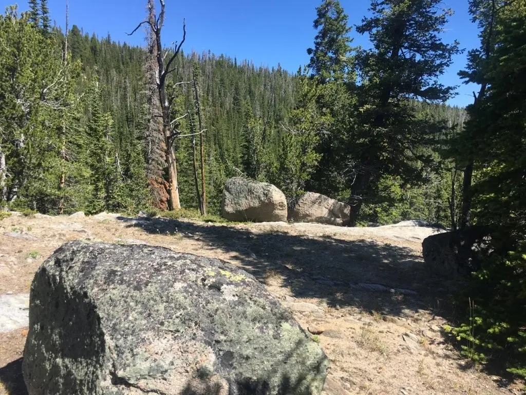 Tbd Trapper Creek Road Melrose MT 59743
