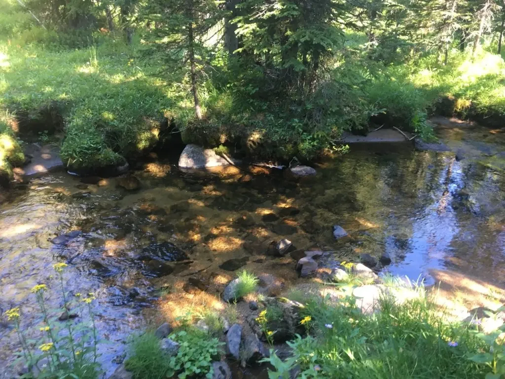 Tbd Trapper Creek Road Melrose MT 59743