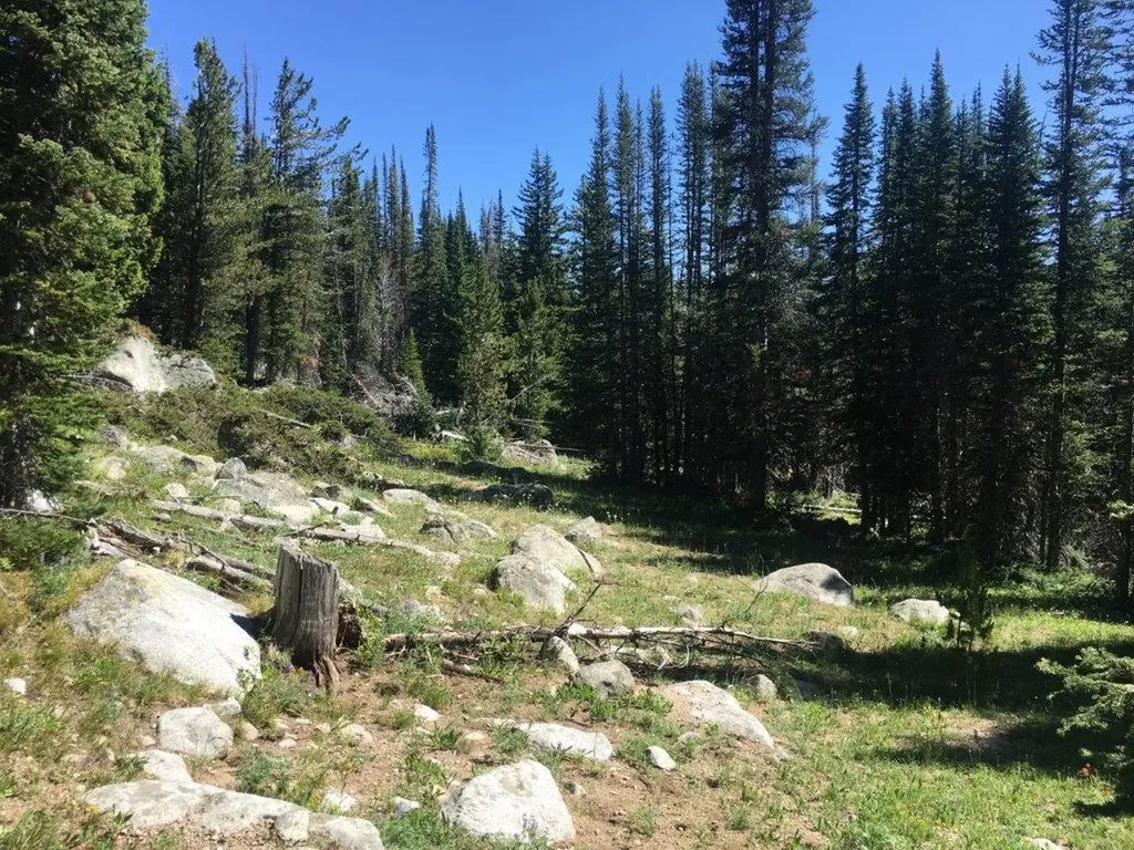 Tbd Trapper Creek Road Melrose MT 59743