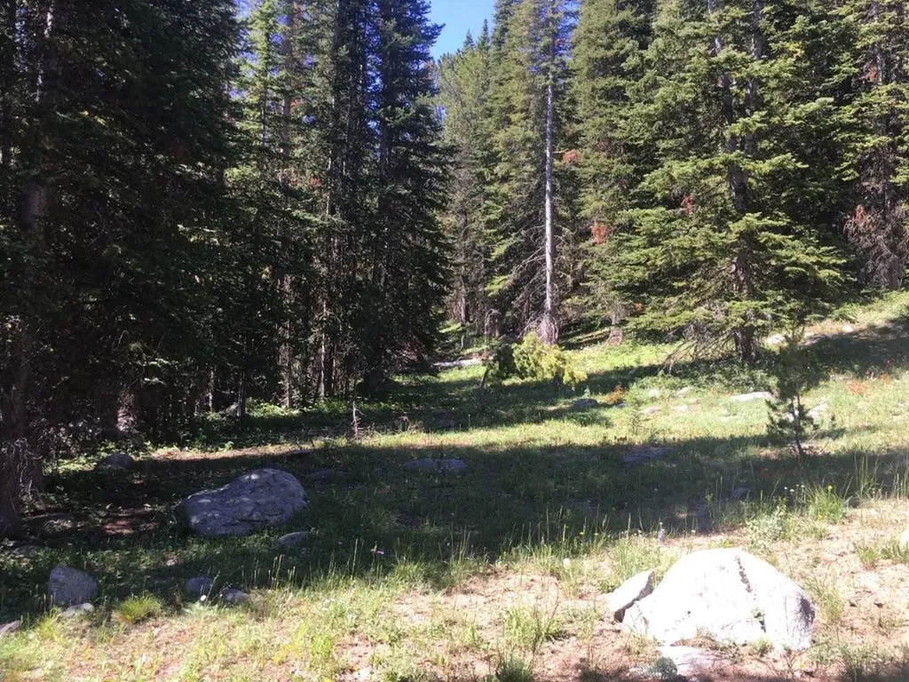 Tbd Trapper Creek Road Melrose MT 59743