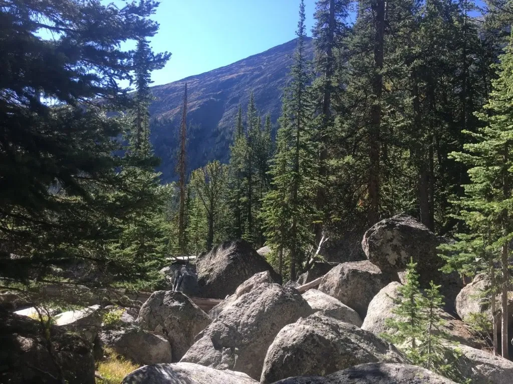 Tbd Trapper Creek Road Melrose MT 59743