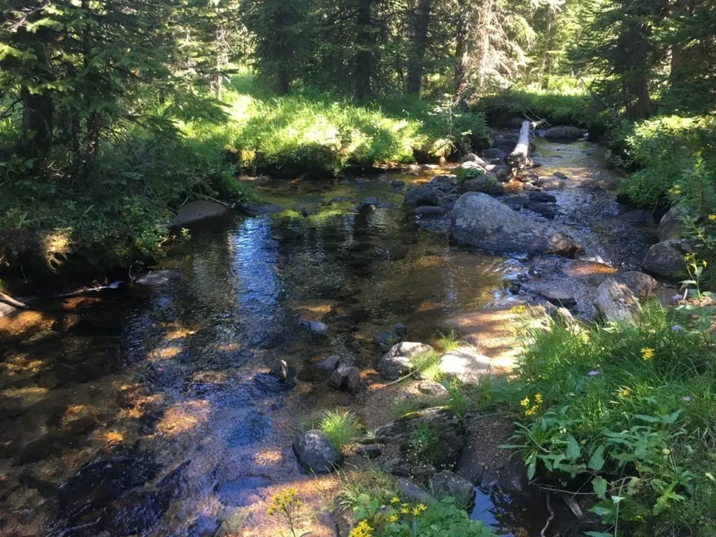 Tbd Trapper Creek Road Melrose MT 59743
