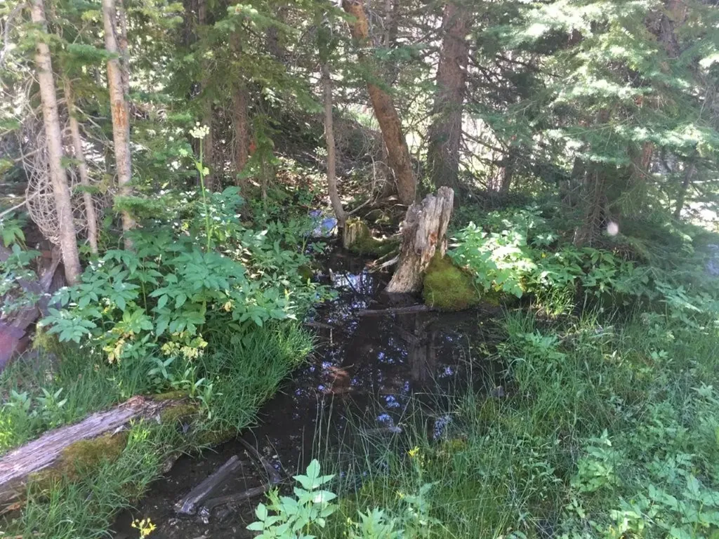 Tbd Trapper Creek Road Melrose MT 59743