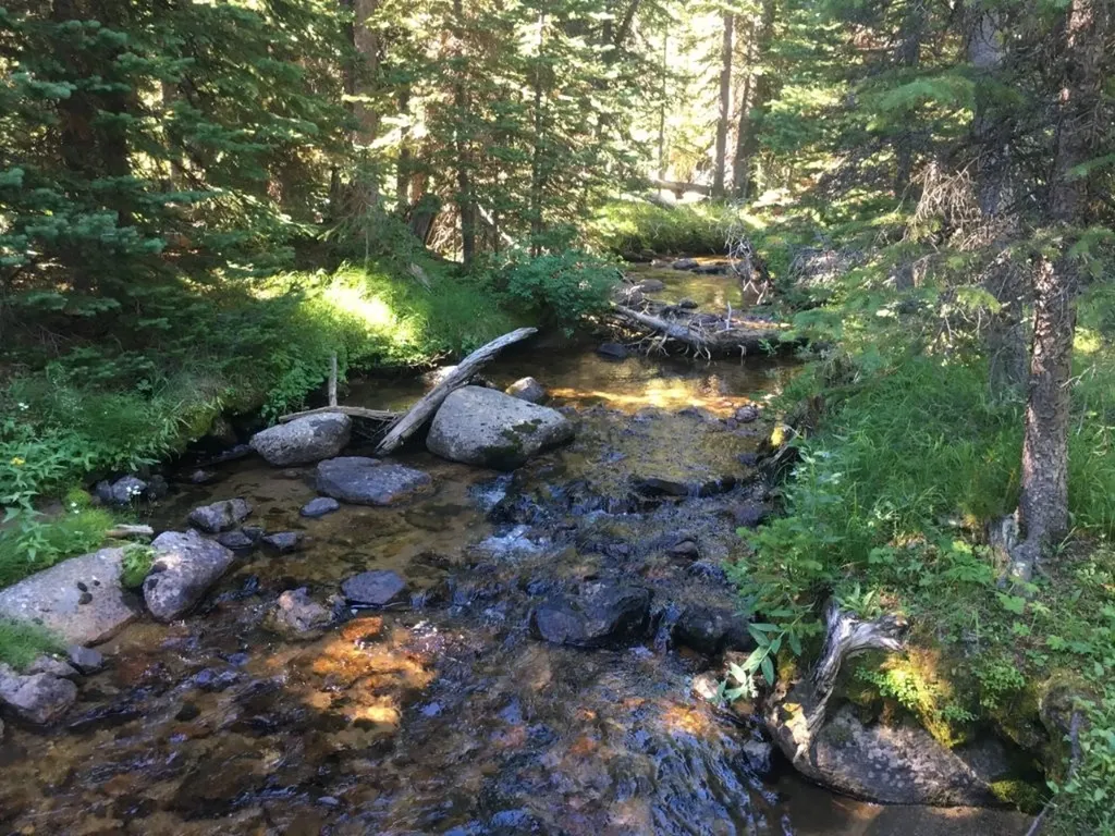 Tbd Trapper Creek Road Melrose MT 59743