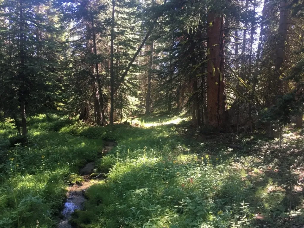 Tbd Trapper Creek Road Melrose MT 59743