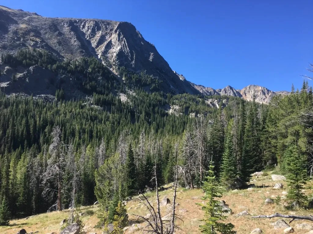 Tbd Trapper Creek Road Melrose MT 59743