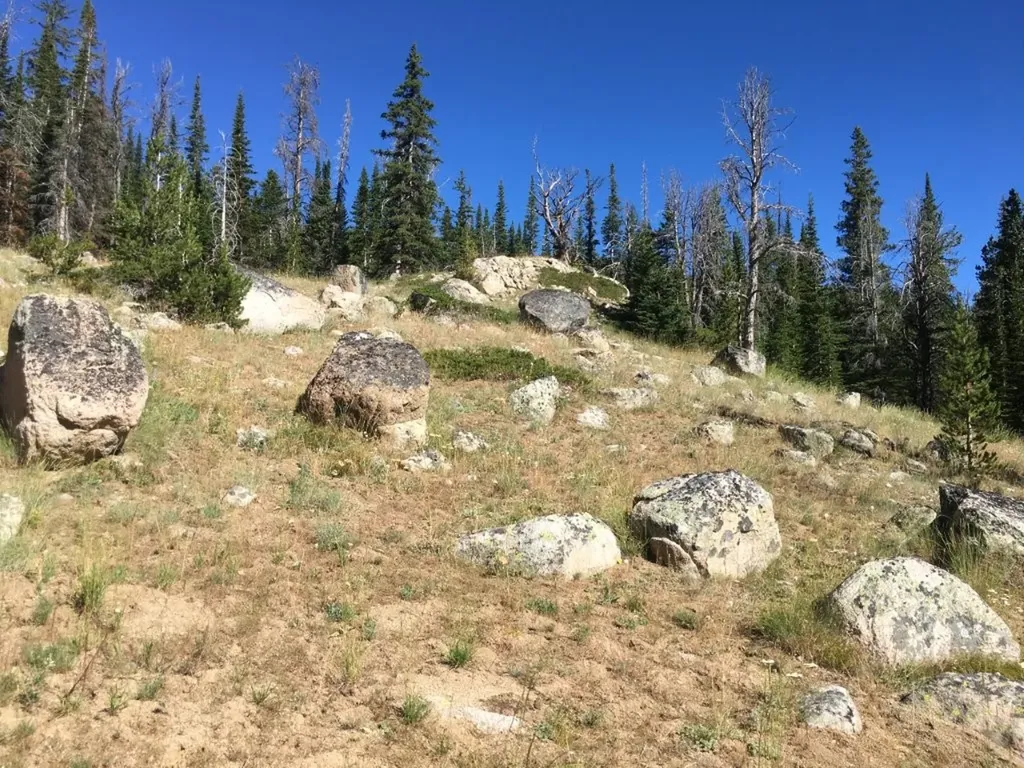 Tbd Trapper Creek Road Melrose MT 59743