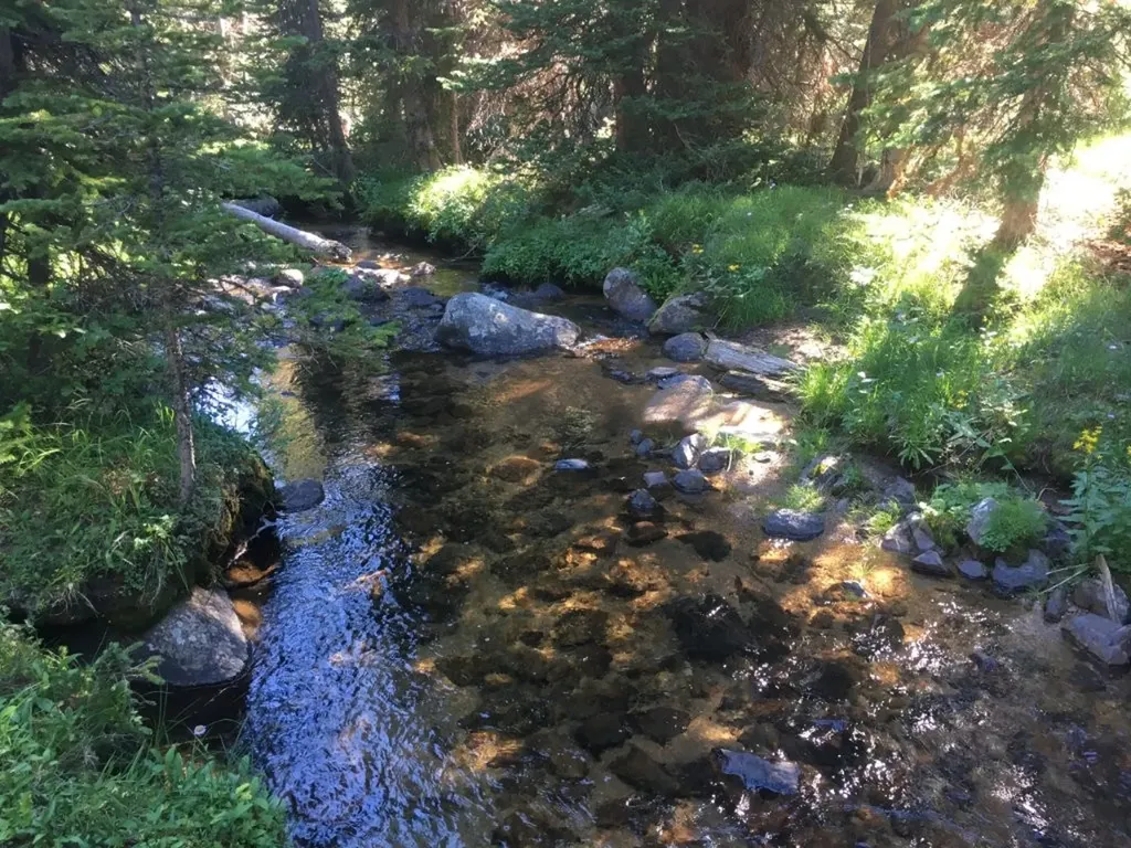 Tbd Trapper Creek Road Melrose MT 59743