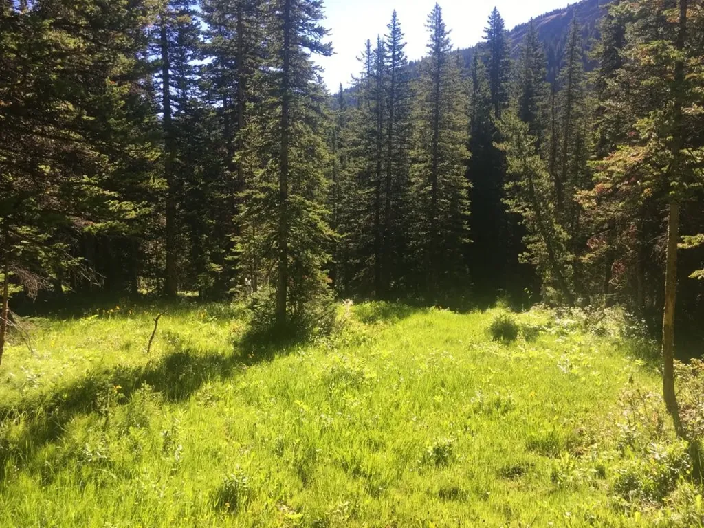 Tbd Trapper Creek Road Melrose MT 59743