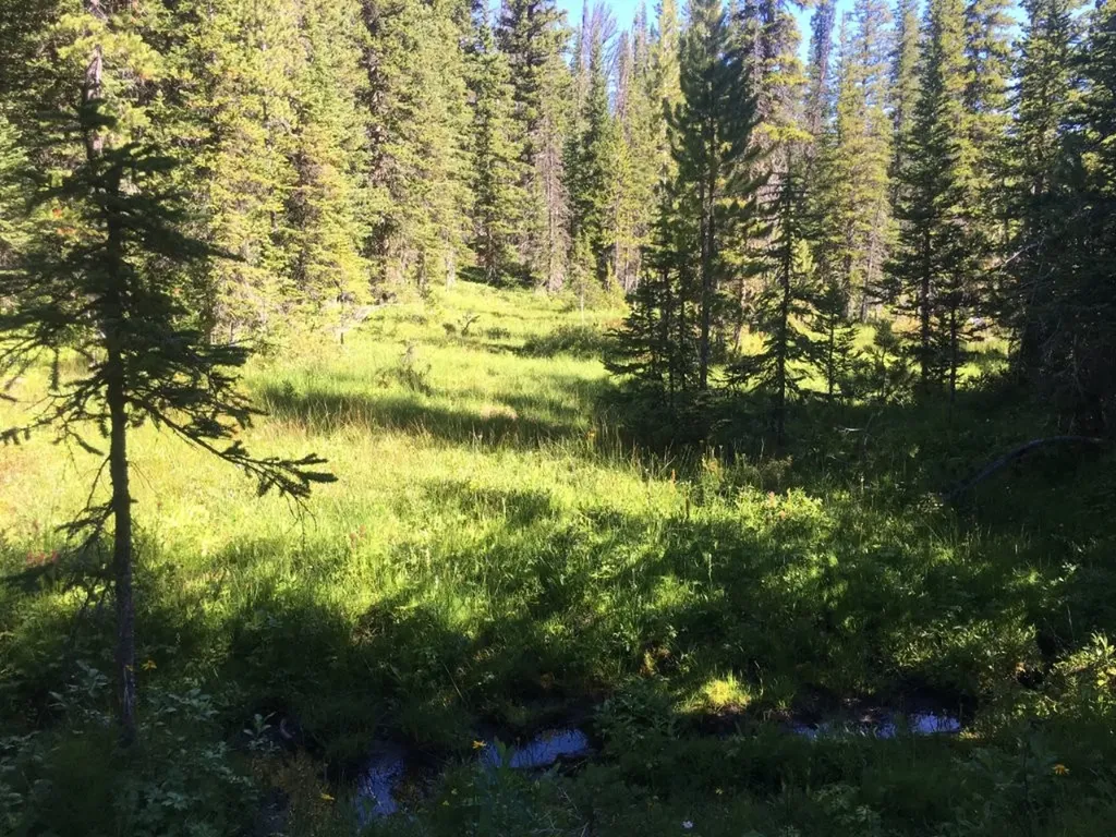 Tbd Trapper Creek Road Melrose MT 59743