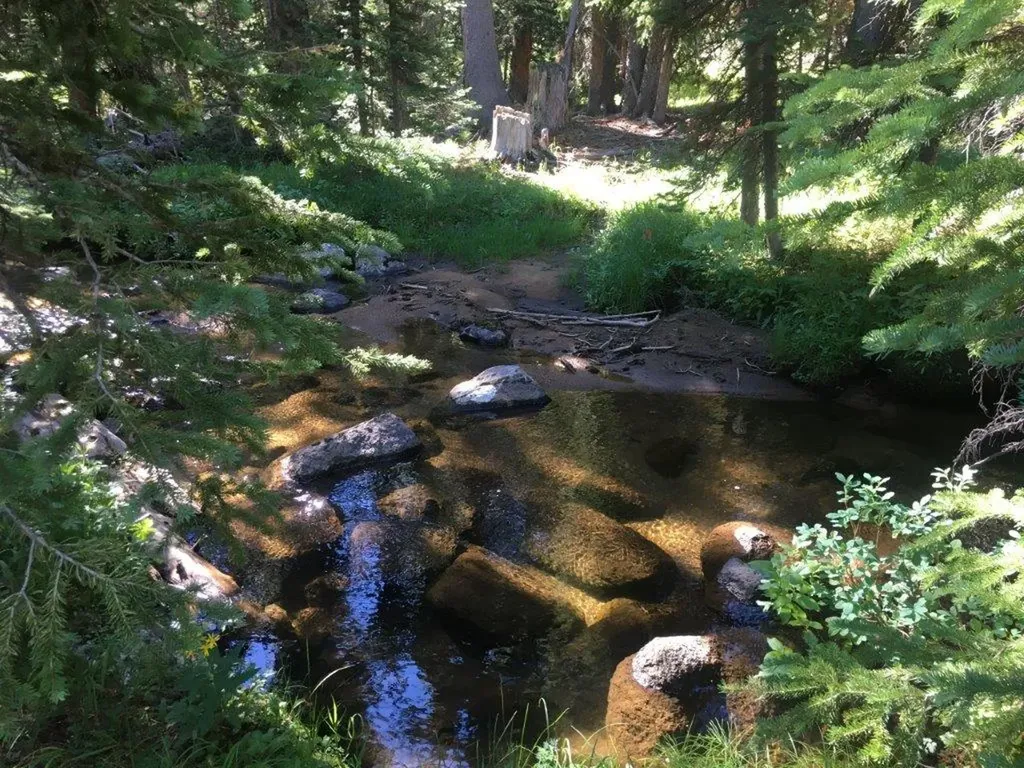 Tbd Trapper Creek Road Melrose MT 59743