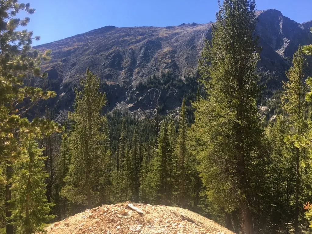 Tbd Trapper Creek Road Melrose MT 59743