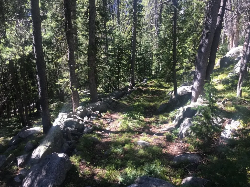 Tbd Trapper Creek Road Melrose MT 59743