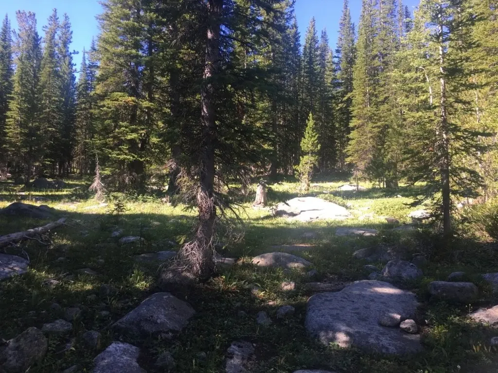 Tbd Trapper Creek Road Melrose MT 59743