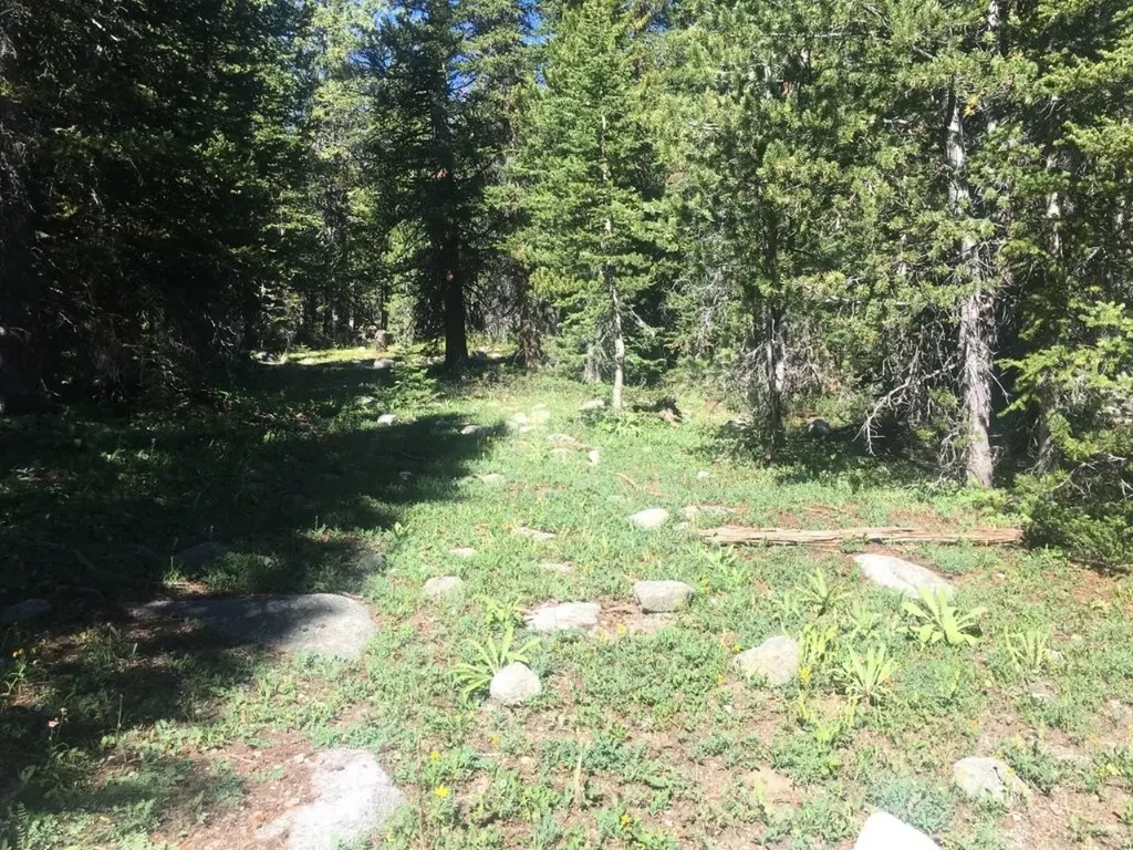 Tbd Trapper Creek Road Melrose MT 59743