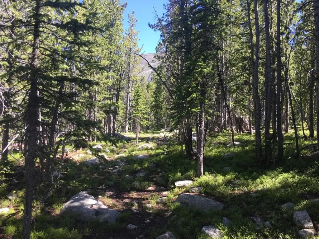 Tbd Trapper Creek Road Melrose MT 59743