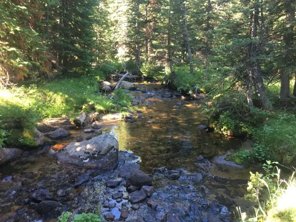 Tbd Trapper Creek Road Melrose MT 59743