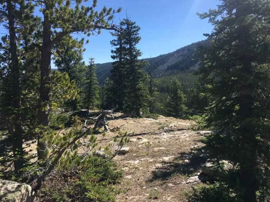 Tbd Trapper Creek Road Melrose MT 59743