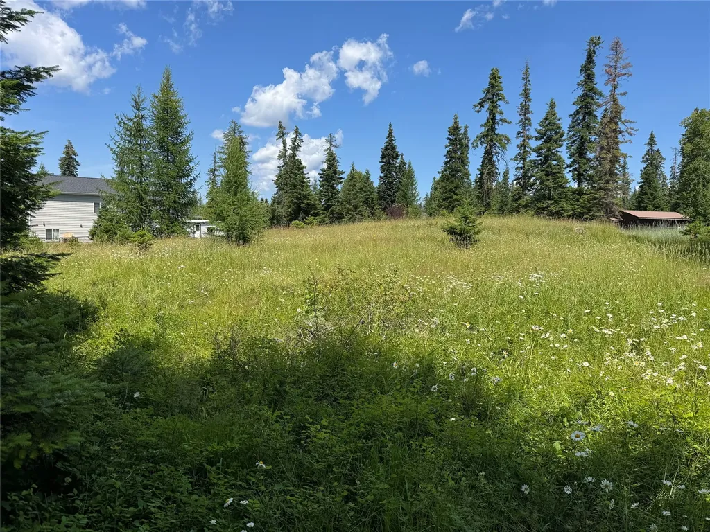 13643 Sundance Trail Bigfork MT 59911