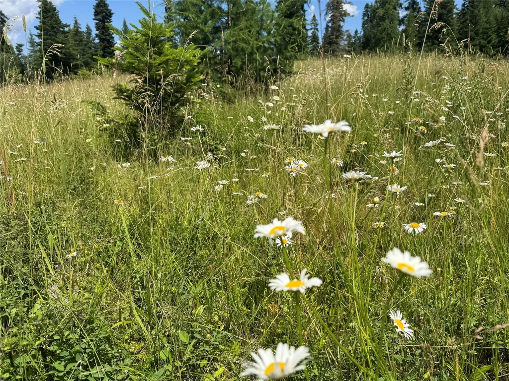 13643 Sundance Trail Bigfork MT 59911