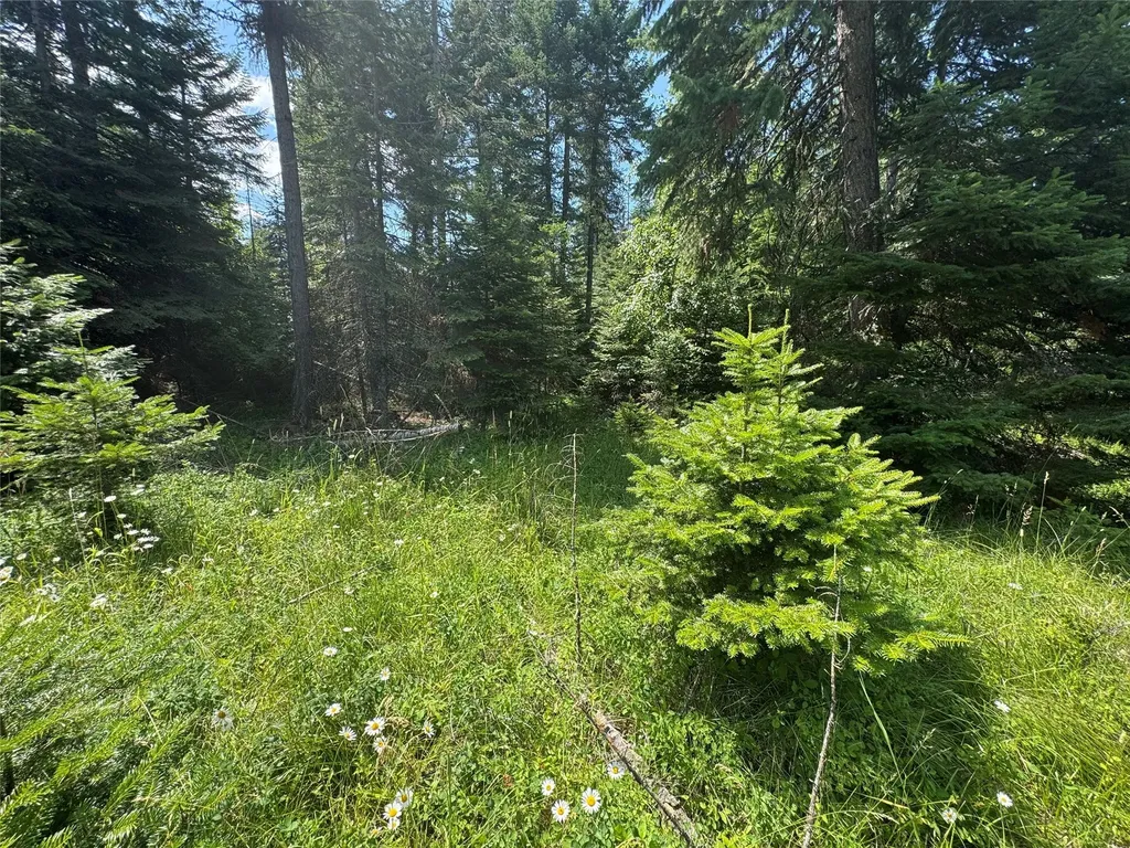 13643 Sundance Trail Bigfork MT 59911
