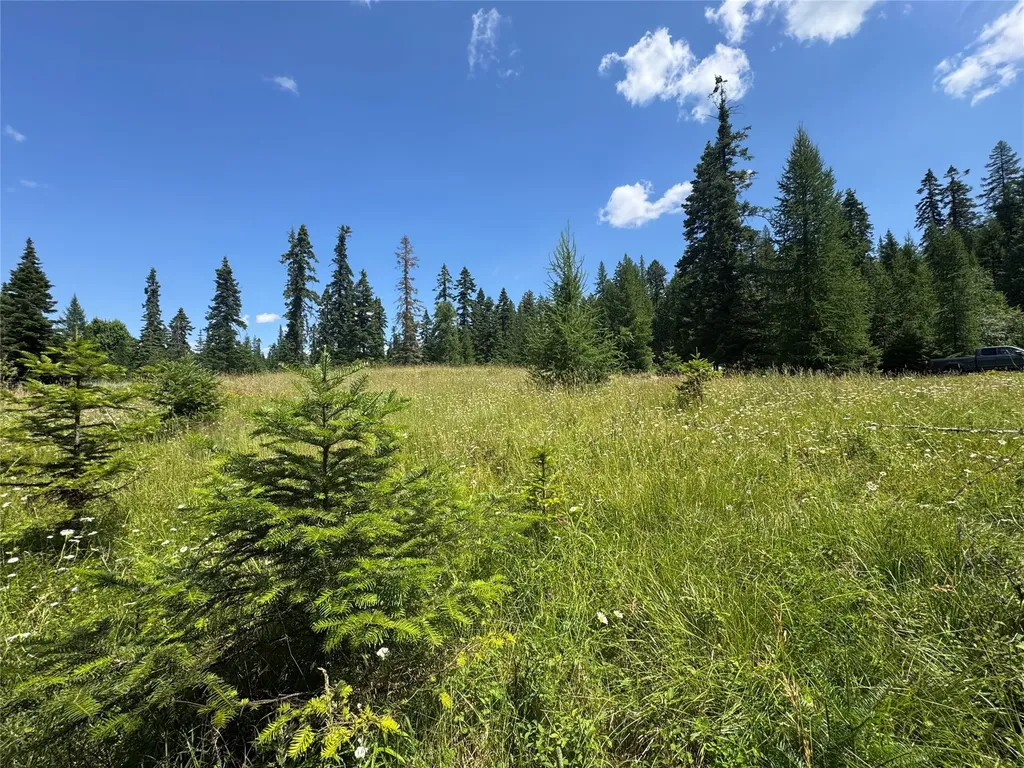 13643 Sundance Trail Bigfork MT 59911