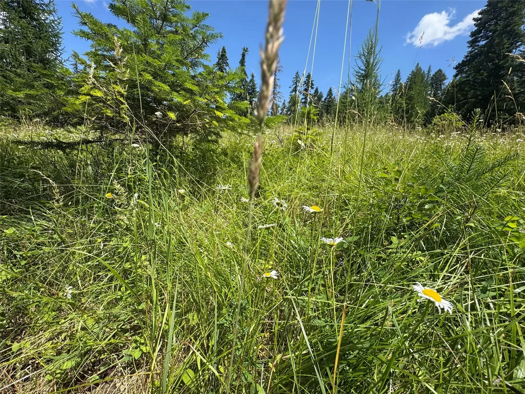 13643 Sundance Trail Bigfork MT 59911